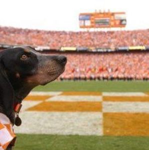 Meet your Posher, Pete